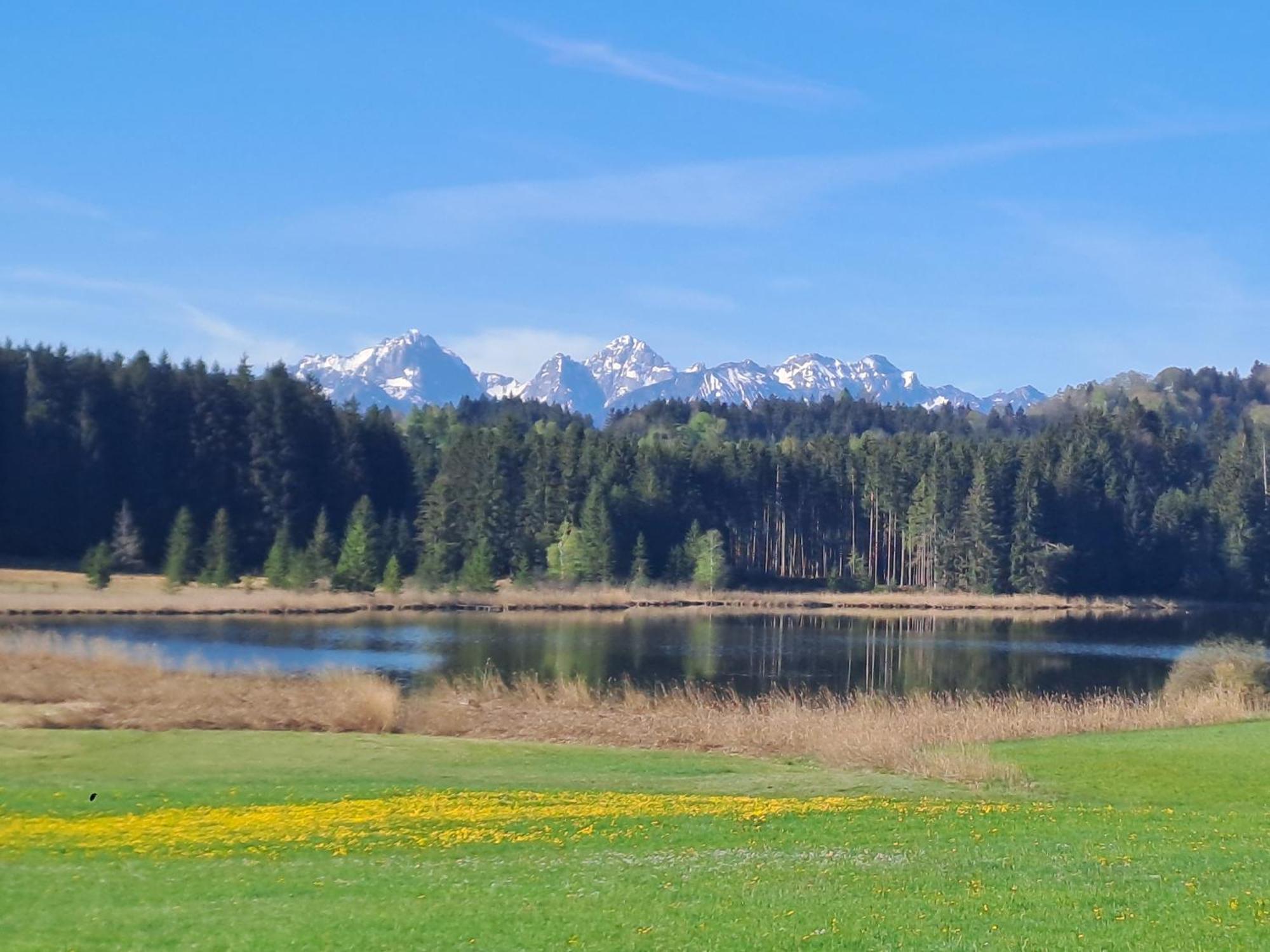 Allgaeu-Genuss Халблех Екстериор снимка